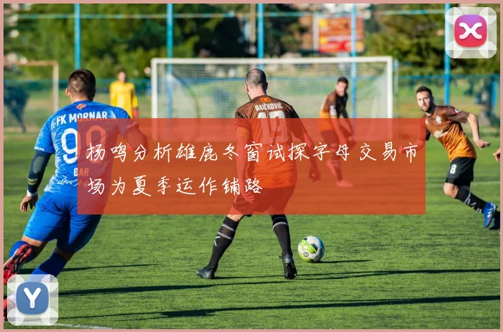 杨鸣分析雄鹿冬窗试探字母交易市场为夏季运作铺路