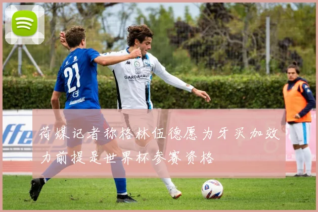 荷媒记者称格林伍德愿为牙买加效力前提是世界杯参赛资格