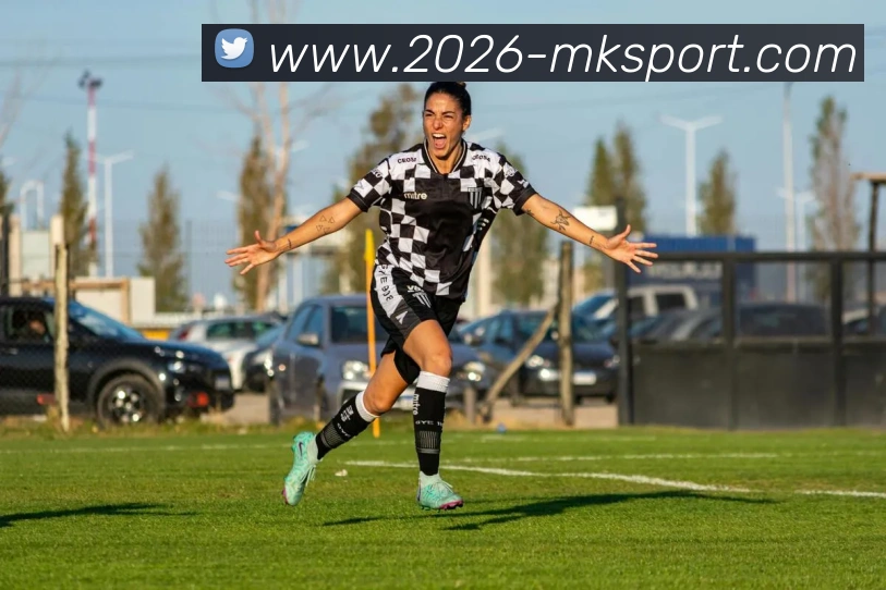 MK体育平台生态图