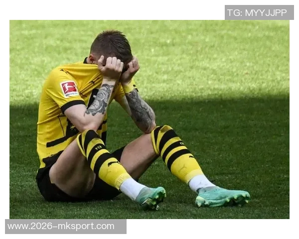 罗伊斯重返多特主场感慨万千出任俱乐部大使心系家园